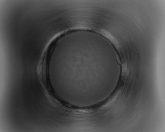 X0000092250580200709211103