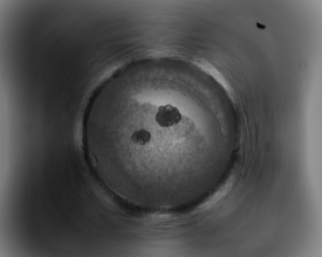 X0000092250581200709211103