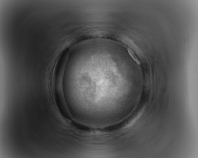 X0000092250585200709211103