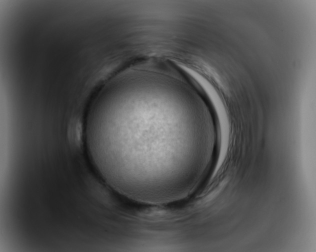 X0000092250589200709211103