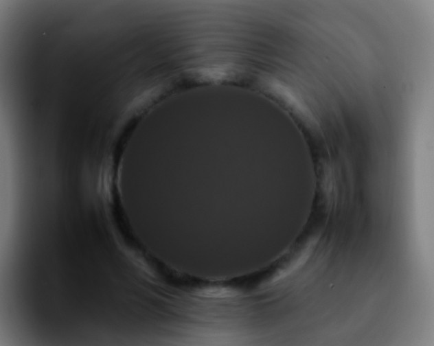 X0000092250590200709211103