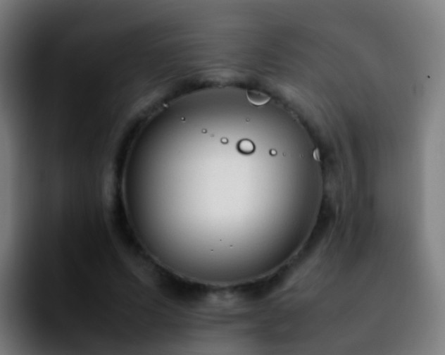 X0000092250591200709211103