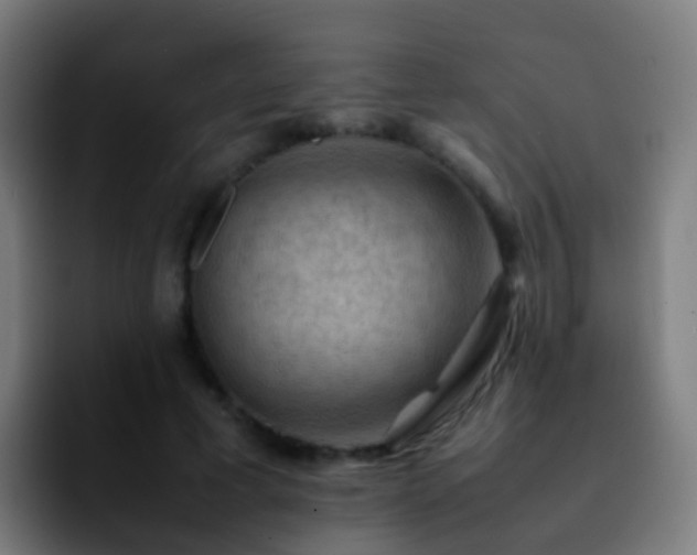 X0000092250593200709211103