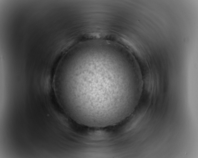 X0000092250594200709211103