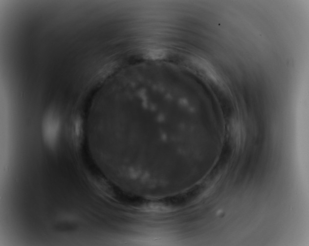 X0000092250598200709211103