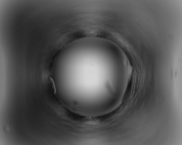 X0000092250601200709211103