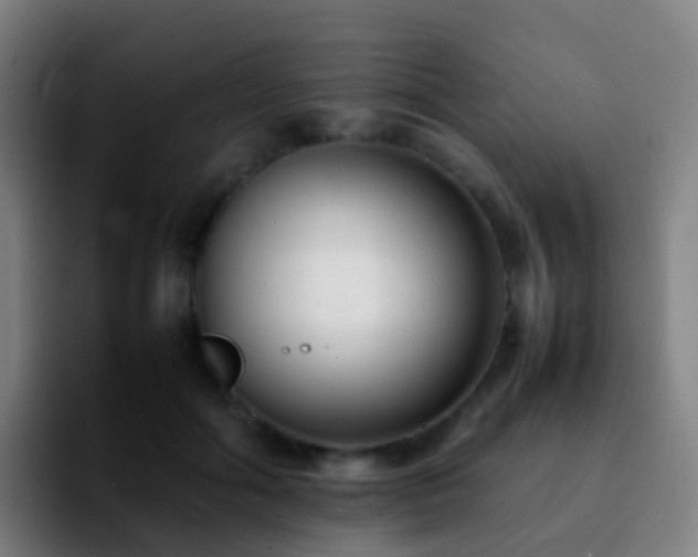 X0000092250602200709211103