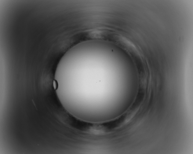 X0000092250603200709211103