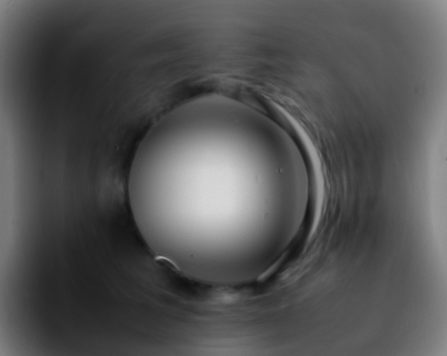 X0000092250613200709211102
