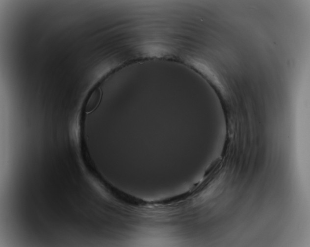 X0000092250630200709211102