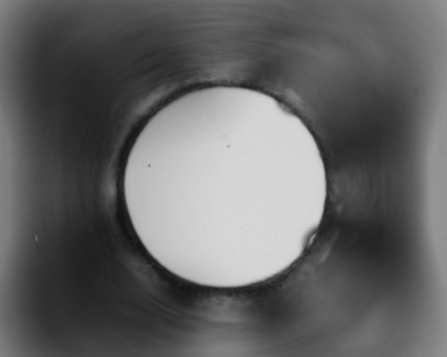 X0000092250632200709211102