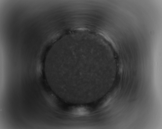 X0000092250643200709211102
