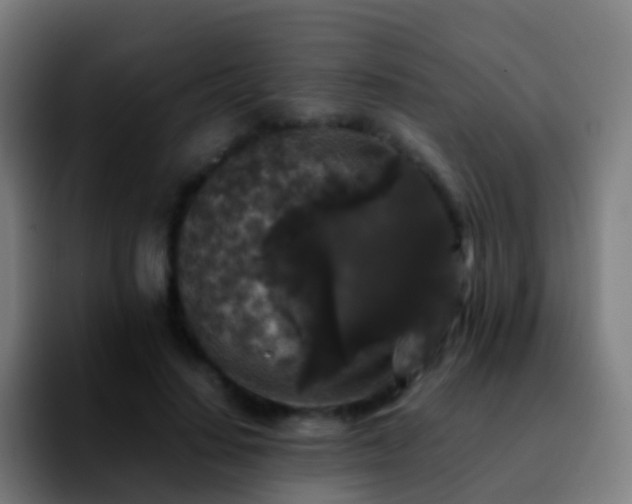 X0000092250644200709211102