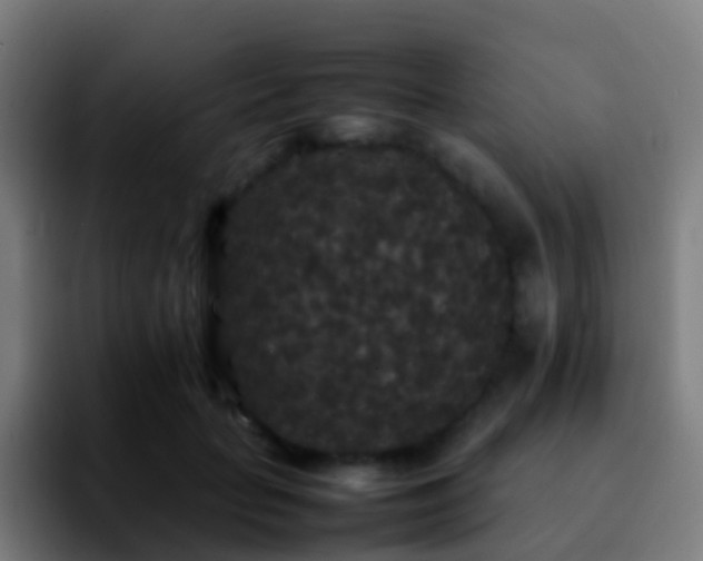 X0000092250653200709211102