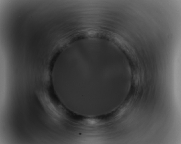 X0000092250654200709211102