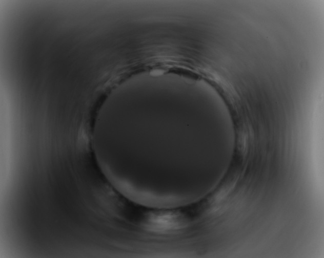 X0000092250661200709211102