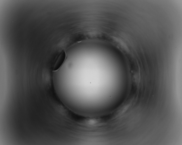 X0000092250662200709211102