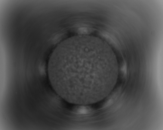 X0000092250663200709211102