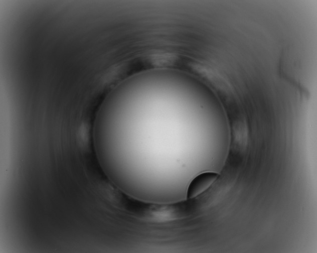 X0000092250667200709211102
