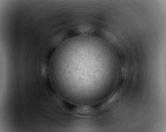 X0000092250671200709211102