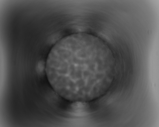 X0000092250672200709211102