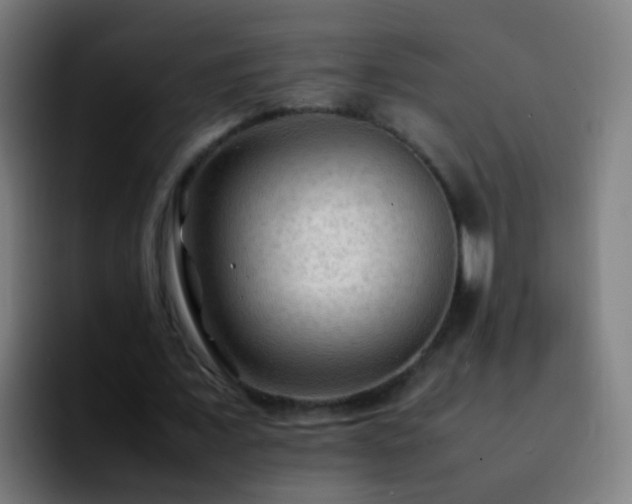 X0000092250675200709211102