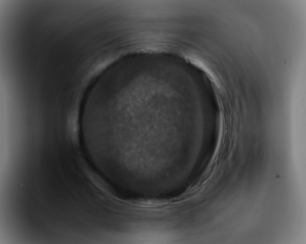 X0000092250677200709211102