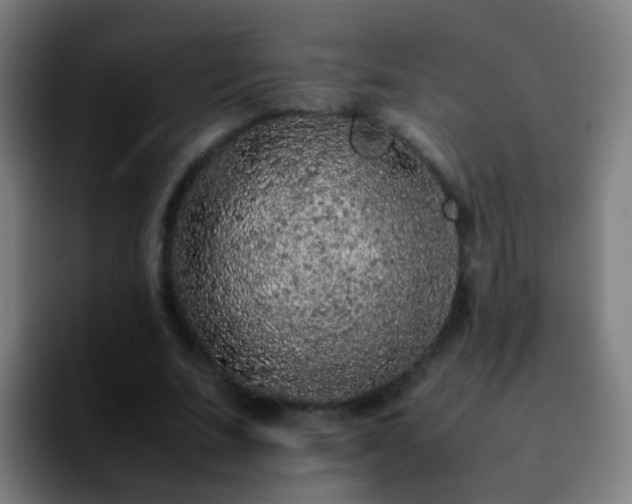 X0000092250679200709211102