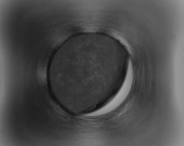 X0000092250681200709211102
