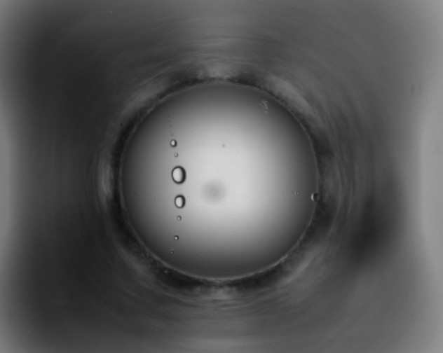 X0000092250683200709211102
