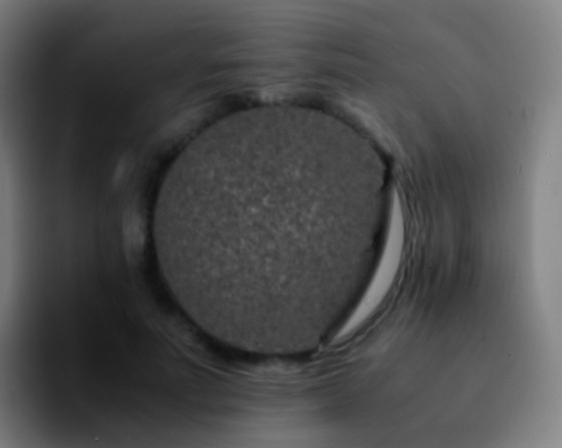 X0000092250691200709211101