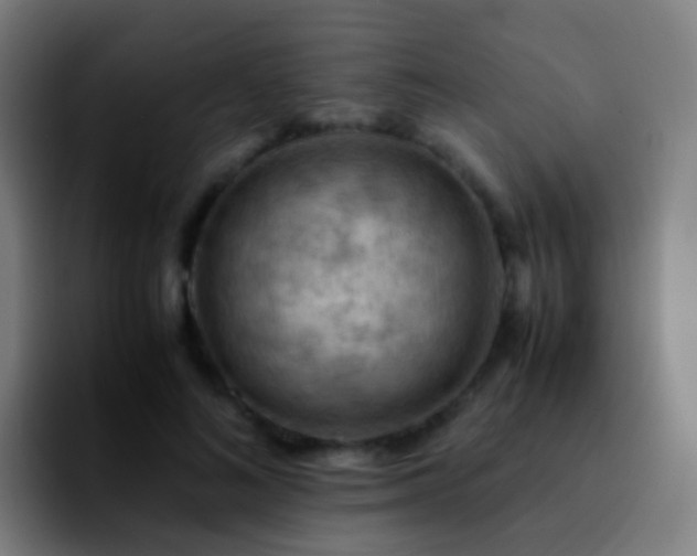 X0000092250692200709211101