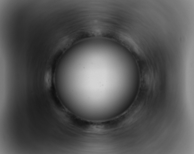 X0000092250694200709211101