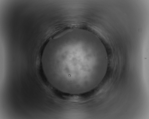 X0000092250695200709211101