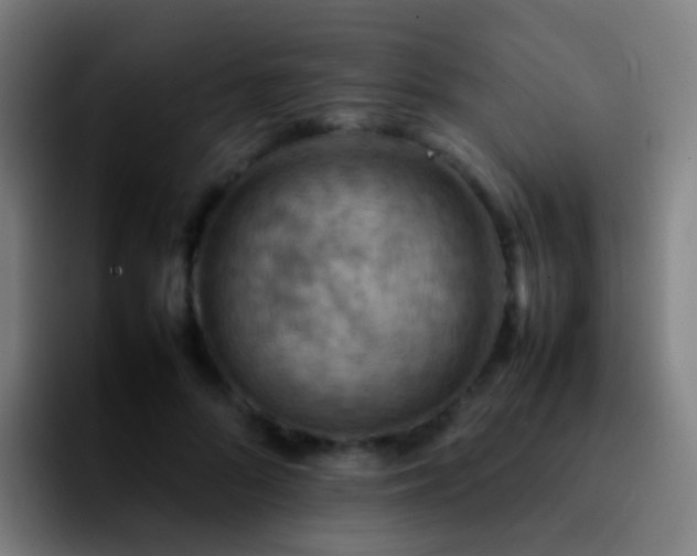 X0000092250696200709211101