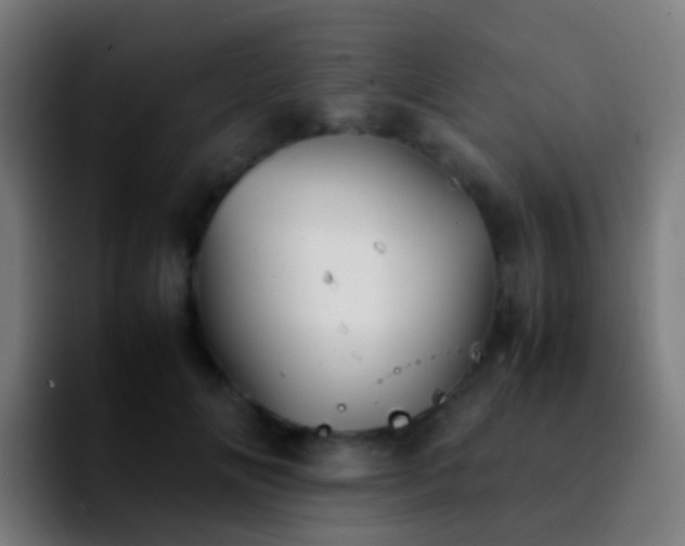 X0000092250702200709211101