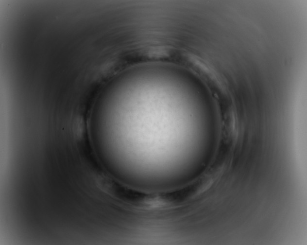 X0000092250704200709211101