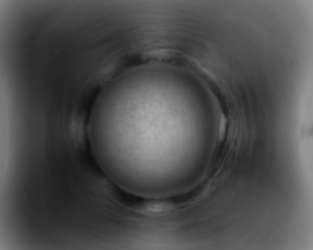 X0000092250708200709211101