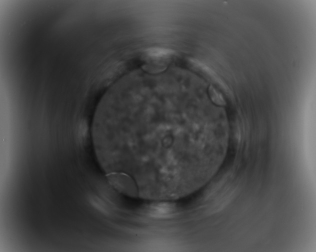 X0000092250711200709211101