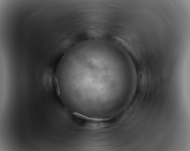 X0000092250712200709211101