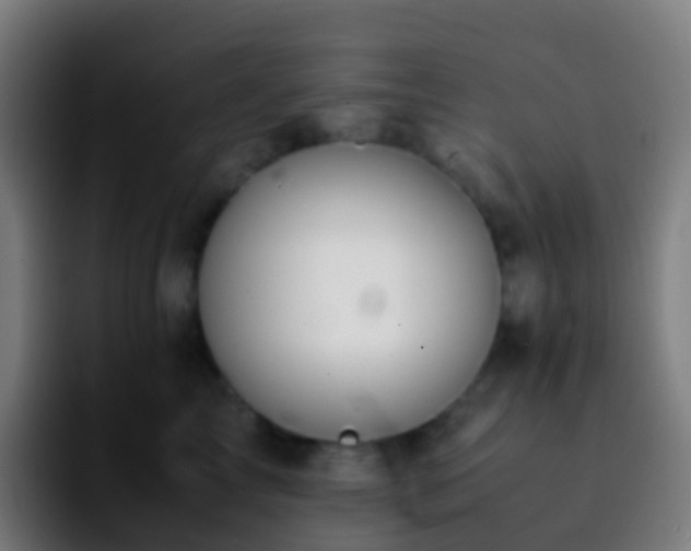 X0000092250713200709211101