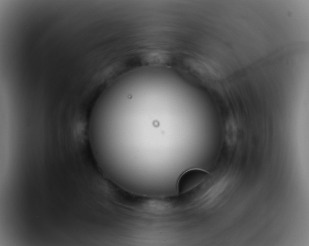 X0000092250714200709211101
