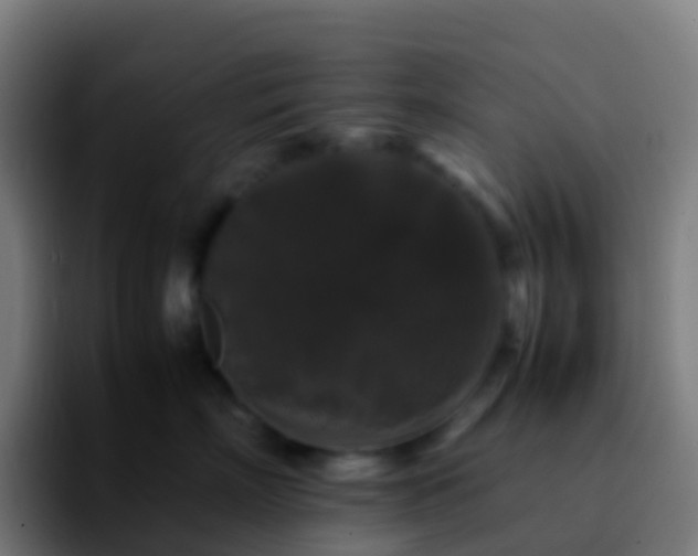 X0000092250718200709211101