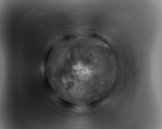 X0000092250720200709211101