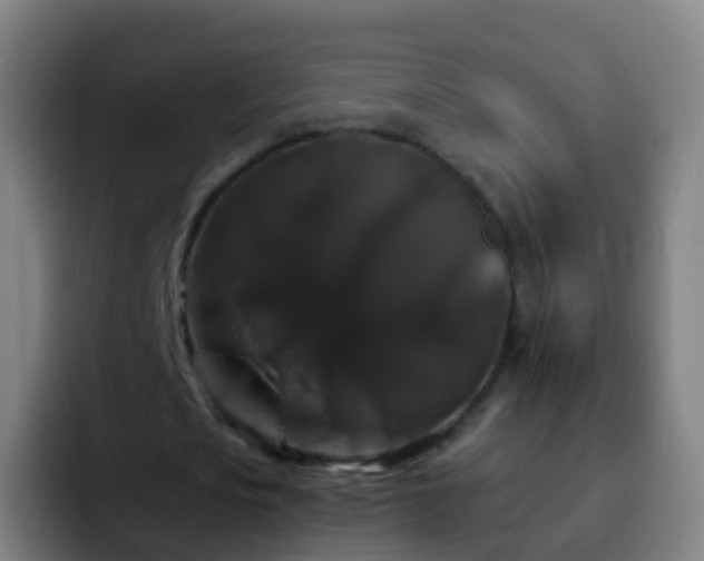 X0000092250721200709211101