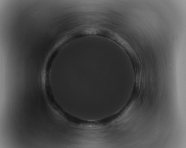 X0000092250722200709211101