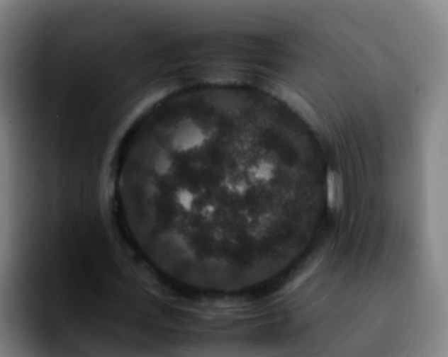X0000092250723200709211101