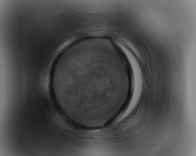 X0000092250724200709211101