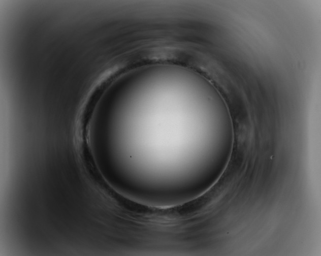 X0000092250727200709211101