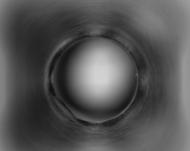X0000092250728200709211101